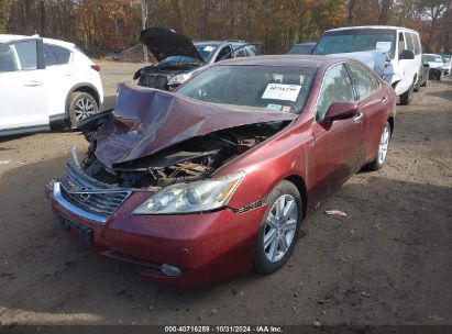 Lot #2995296201 2008 LEXUS ES 350