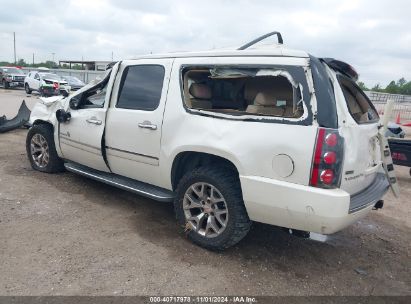 Lot #2990352886 2010 GMC YUKON XL 1500 DENALI