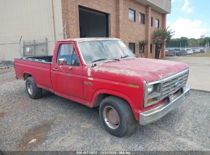 Lot #2992821948 1981 FORD F100