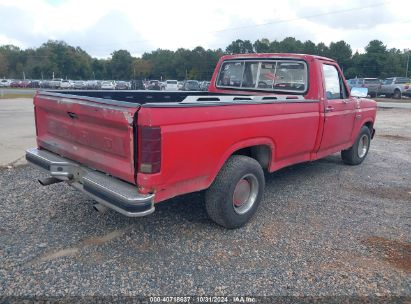 Lot #2992821948 1981 FORD F100