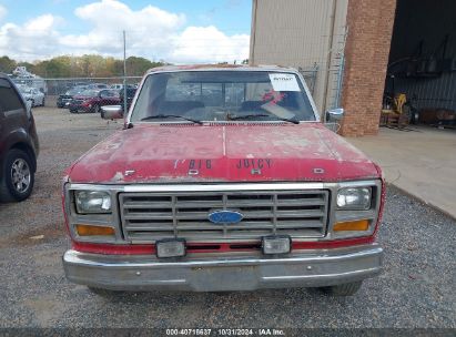 Lot #2992821948 1981 FORD F100