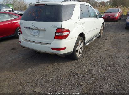 Lot #2995296102 2009 MERCEDES-BENZ ML 350