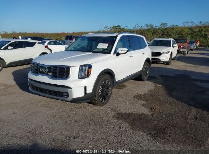 Lot #2992822510 2023 KIA TELLURIDE SX PRESTIGE