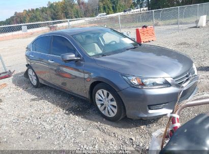 Lot #3035074173 2014 HONDA ACCORD EX