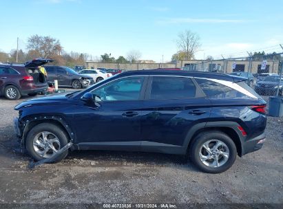 Lot #3035074161 2024 HYUNDAI TUCSON SEL