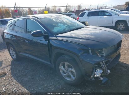 Lot #3035074161 2024 HYUNDAI TUCSON SEL