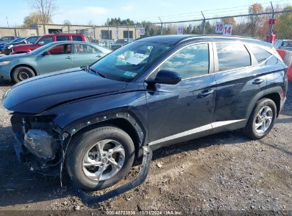 Lot #3035074161 2024 HYUNDAI TUCSON SEL