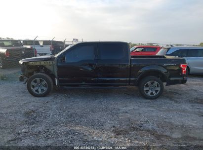 Lot #3011520986 2019 FORD F-150 XLT