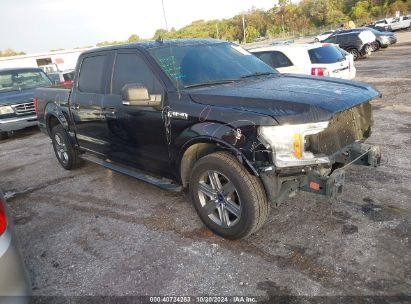 Lot #3011520986 2019 FORD F-150 XLT