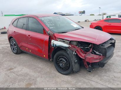 Lot #3035085072 2022 FORD ESCAPE SE