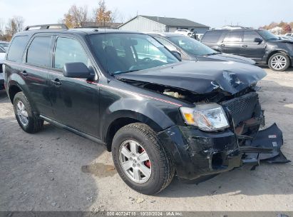 Lot #3042570442 2010 MERCURY MARINER