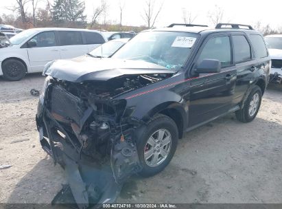 Lot #3042570442 2010 MERCURY MARINER