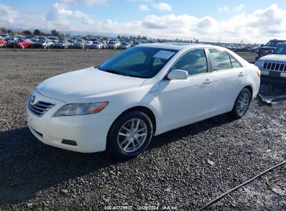 Lot #3037533156 2008 TOYOTA CAMRY HYBRID