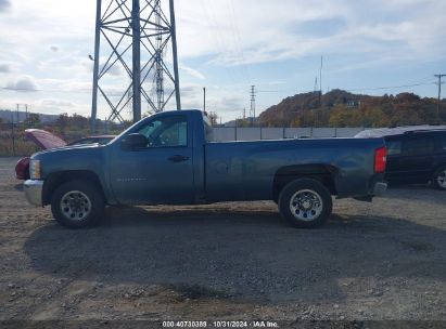 Lot #2995296424 2013 CHEVROLET SILVERADO 1500 WORK TRUCK