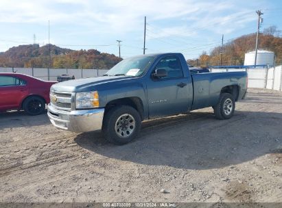 Lot #2995296424 2013 CHEVROLET SILVERADO 1500 WORK TRUCK