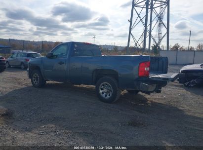 Lot #2995296424 2013 CHEVROLET SILVERADO 1500 WORK TRUCK