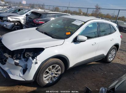 Lot #3007840203 2020 FORD ESCAPE SE