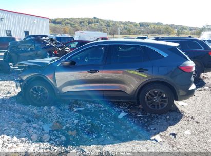 Lot #2990353173 2020 FORD ESCAPE SE