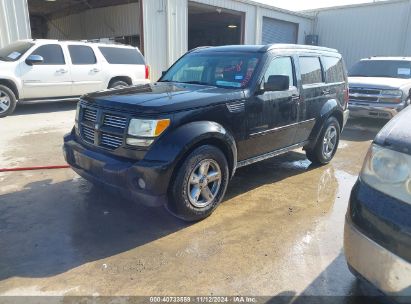 Lot #2992829180 2010 DODGE NITRO SXT