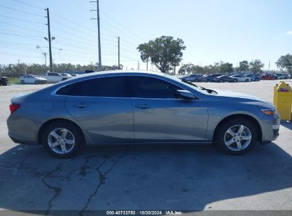 Lot #2992822268 2023 CHEVROLET MALIBU FWD 1FL