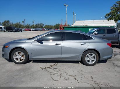 Lot #2992822268 2023 CHEVROLET MALIBU FWD 1FL