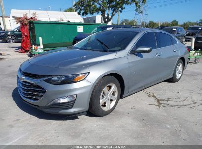 Lot #2992822268 2023 CHEVROLET MALIBU FWD 1FL