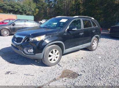 Lot #2997772500 2011 KIA SORENTO LX