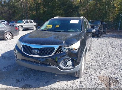 Lot #2997772500 2011 KIA SORENTO LX