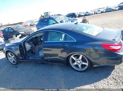 Lot #3051089402 2014 MERCEDES-BENZ CLS 550