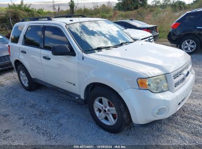 Lot #3042570366 2009 FORD ESCAPE HYBRID LIMITED