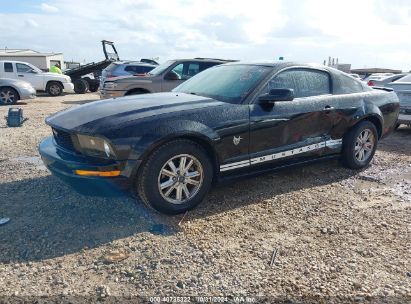 Lot #2997781404 2009 FORD MUSTANG V6/V6 PREMIUM