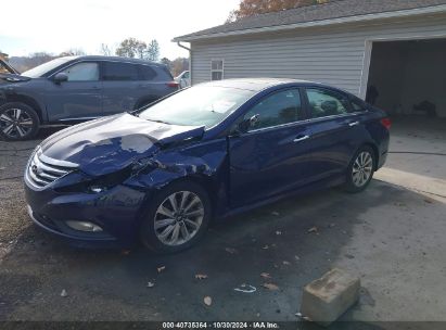 Lot #2992822216 2014 HYUNDAI SONATA LIMITED 2.0T