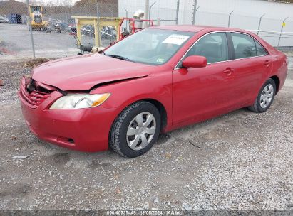 Lot #2995296054 2009 TOYOTA CAMRY LE