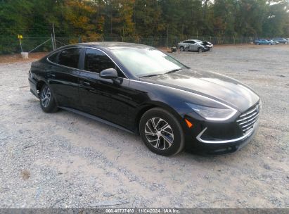 Lot #2995296053 2023 HYUNDAI SONATA HYBRID BLUE