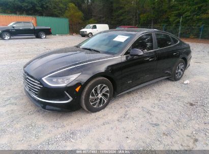 Lot #2995296053 2023 HYUNDAI SONATA HYBRID BLUE