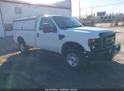 Lot #2992816284 2008 FORD F-250 XL/XLT