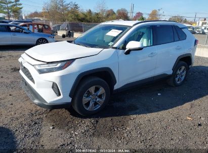 Lot #2992822389 2023 TOYOTA RAV4 XLE