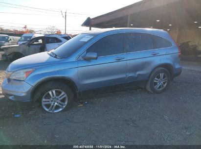 Lot #2995295838 2011 HONDA CR-V EX-L