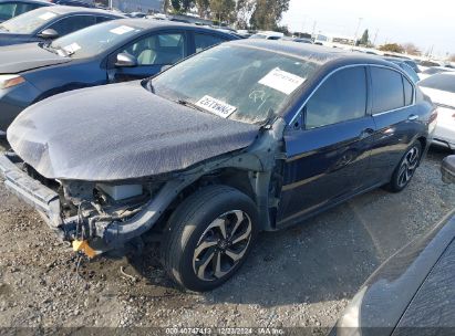 Lot #3035090754 2016 HONDA ACCORD EX-L V-6