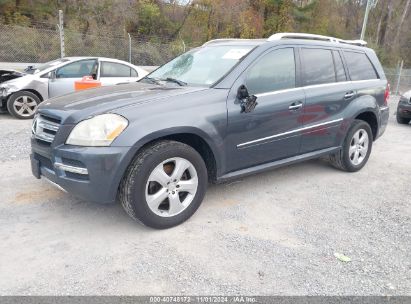 Lot #2995295689 2010 MERCEDES-BENZ GL 450 4MATIC