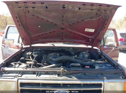 Lot #2995295682 1990 FORD F150