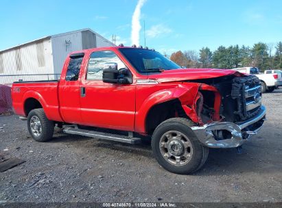 Lot #2995295685 2016 FORD F-250 XLT