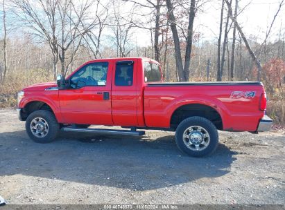 Lot #2995295685 2016 FORD F-250 XLT