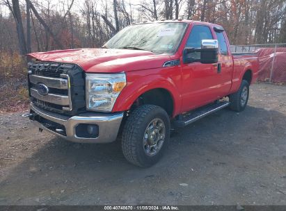 Lot #2995295685 2016 FORD F-250 XLT