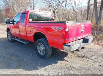 Lot #2995295685 2016 FORD F-250 XLT