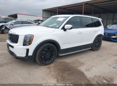 Lot #3053064197 2022 KIA TELLURIDE SX