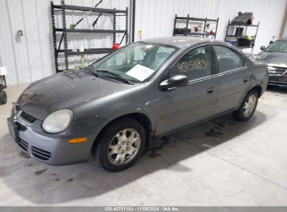 Lot #2992829592 2003 DODGE NEON SXT