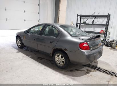 Lot #2992829592 2003 DODGE NEON SXT