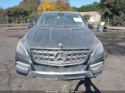 Lot #3002837177 2013 MERCEDES-BENZ ML 350