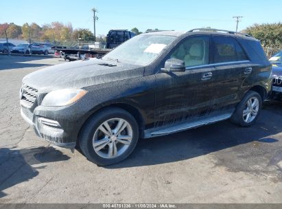 Lot #3002837177 2013 MERCEDES-BENZ ML 350